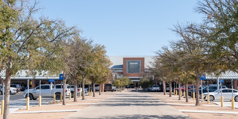 Tree-lined parking lots either side of the walkway leading to the MAF terminal entrance